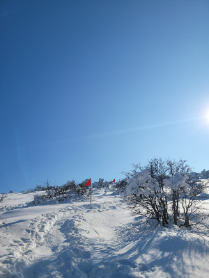 한라산 눈꽃산행