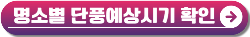 2024 단풍시기