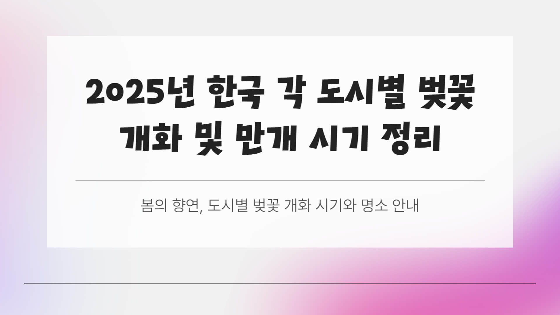 벚꽃 개화 및 만개