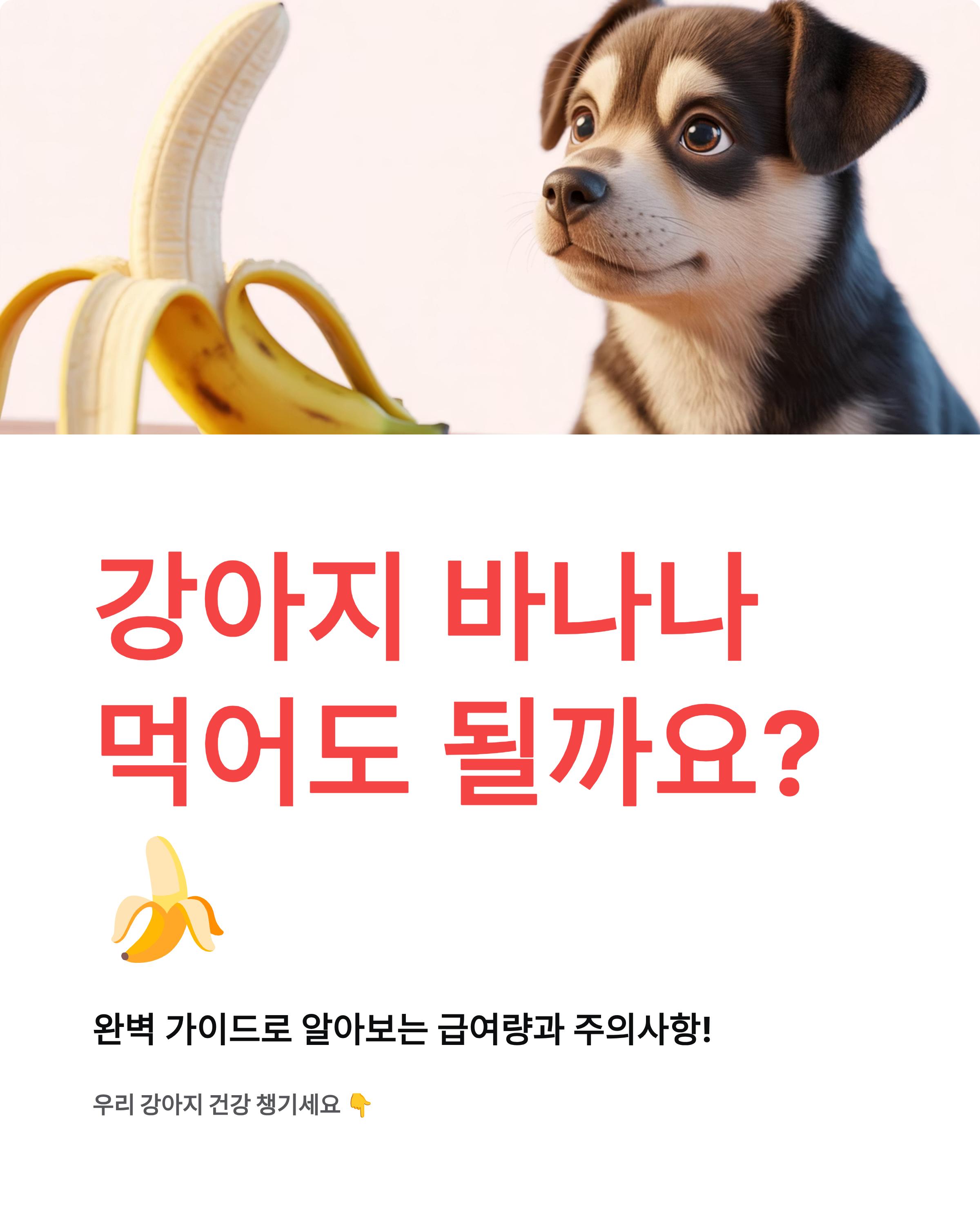 강아지 바나나 먹어도 되나요 급여량 효능 주의사항 - 완벽 가이드! 🍌