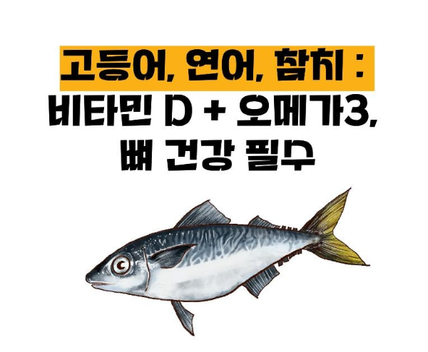 뼈에 좋은 음식