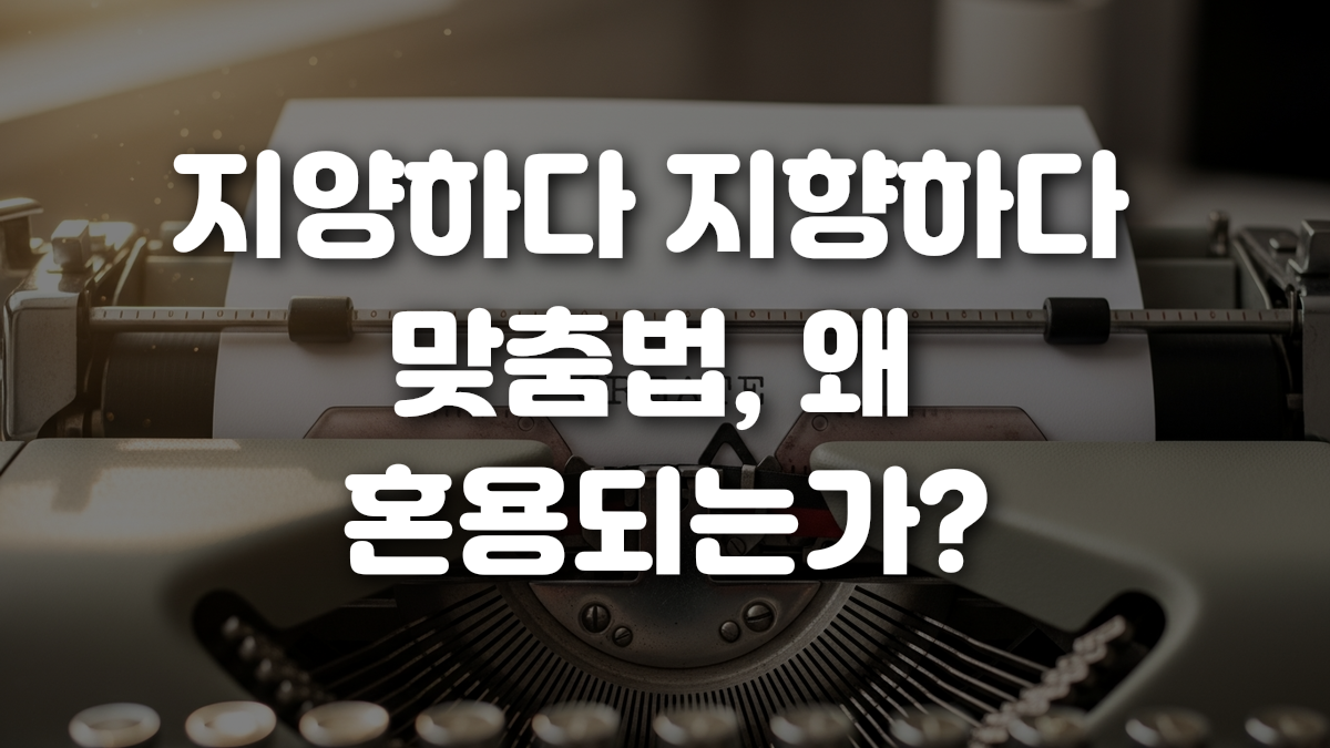 지양하다 지향하다 맞춤법 왜 혼용되는가
