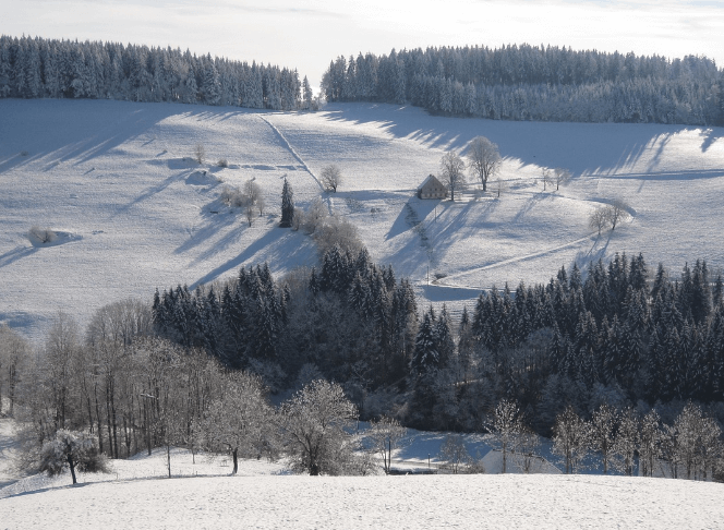 겨울 해외 여행 추천