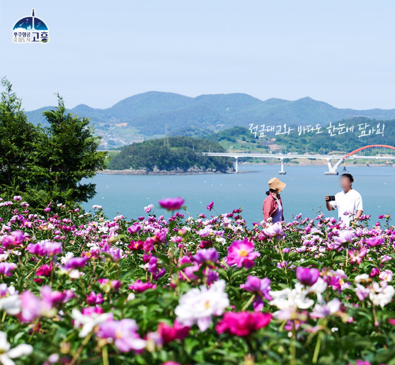 고흥 작약 꽃밭, 더 늦기 전에 핑크빛 가득한 인생사진 남기러 떠나요.🌸