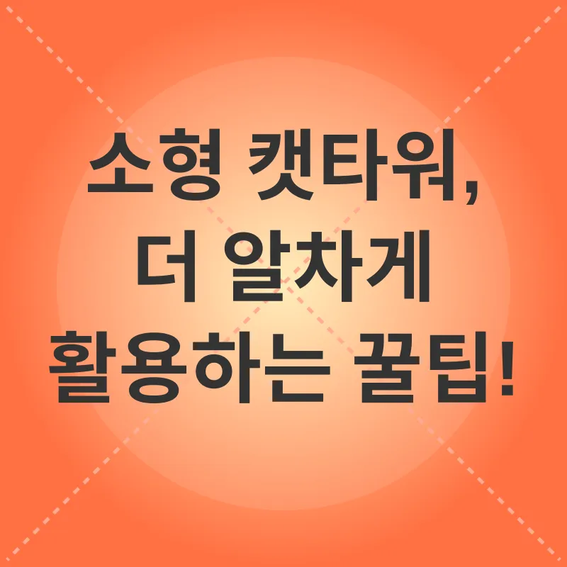소형 캣타워_3