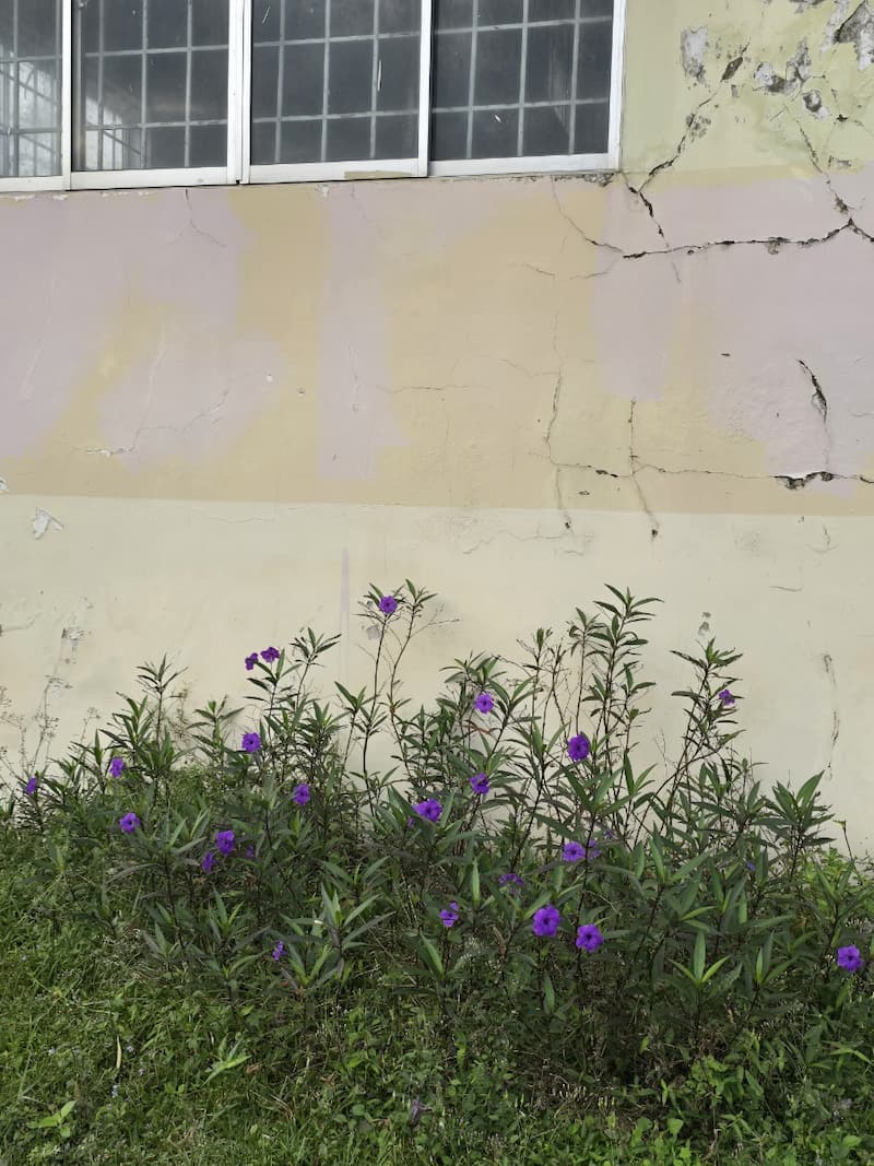 글로도 마음을 건넬 수 있다면