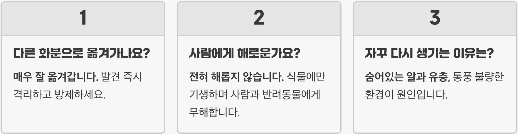 식물 줄기에 붙은 흰솜뭉치 정체, 깍지벌레 박멸하는 친환경 방법 5가지