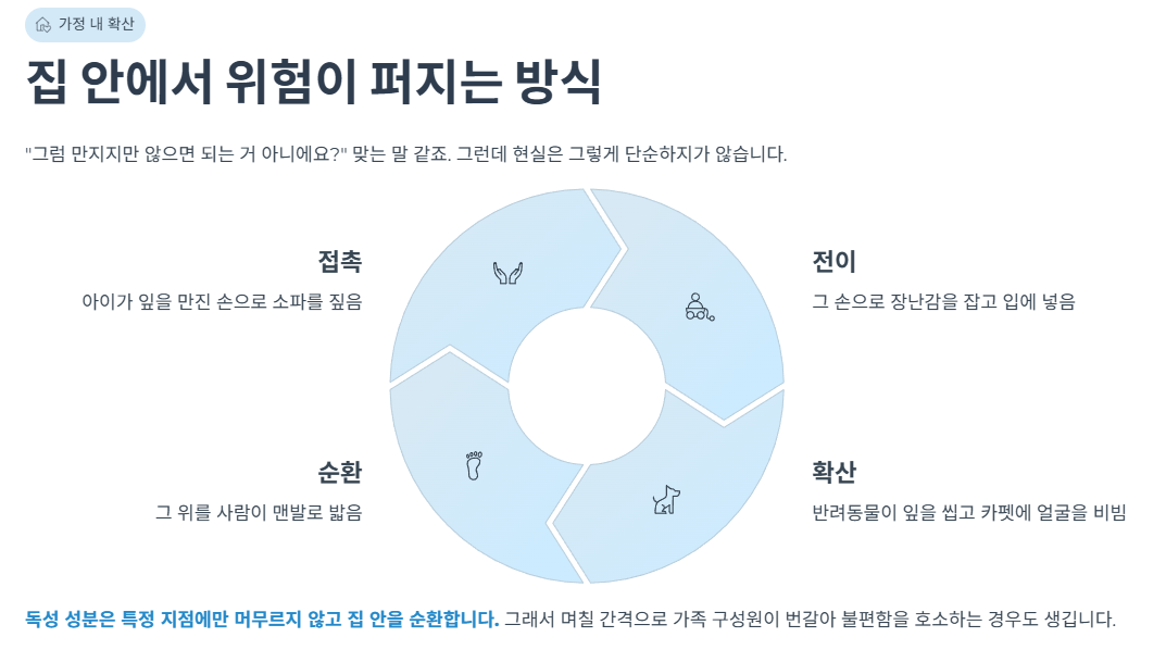 집 안에서 위험이 퍼지는 방식