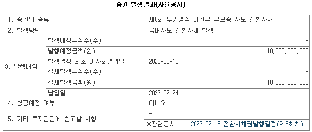 디와이디 CB 발행 공시