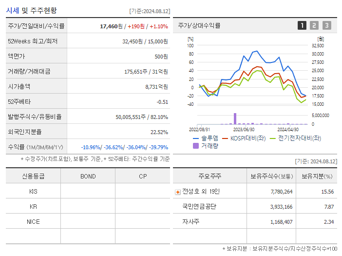 솔루엠_기업개요