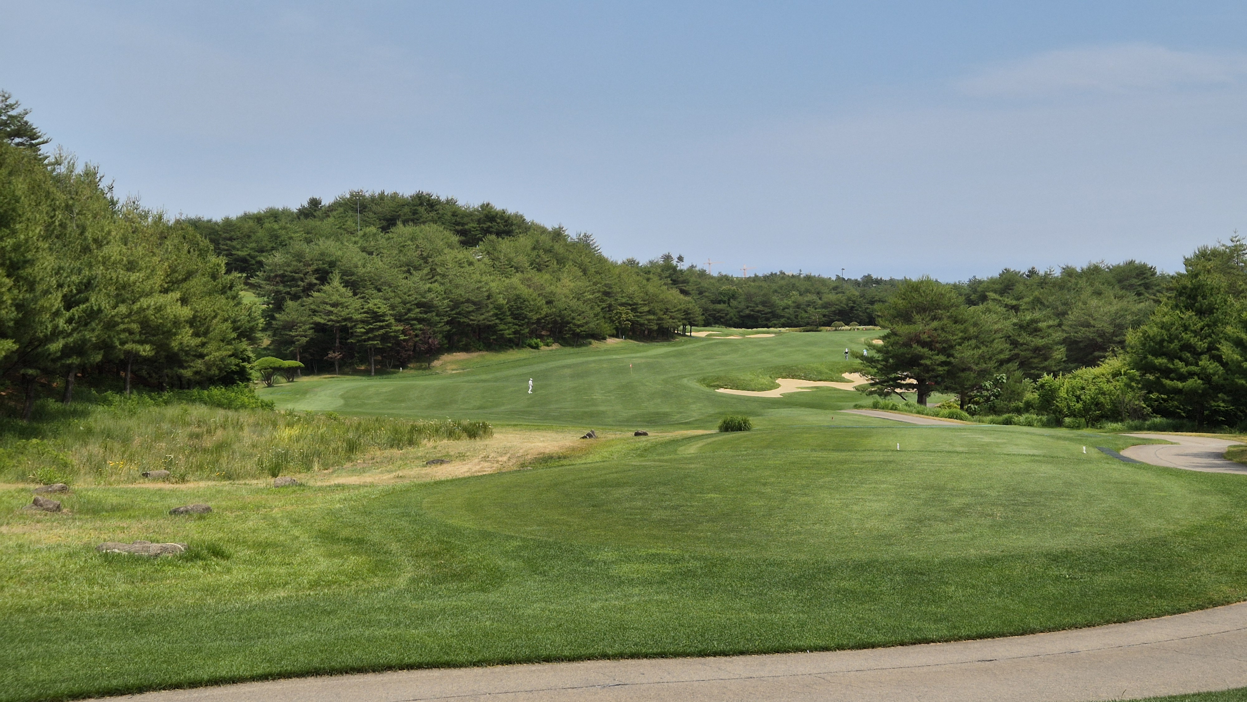 파인리즈cc 후기 및 코스사진