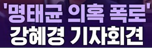 강혜경 폭로 명태균 리스트 27명 공개 파장
