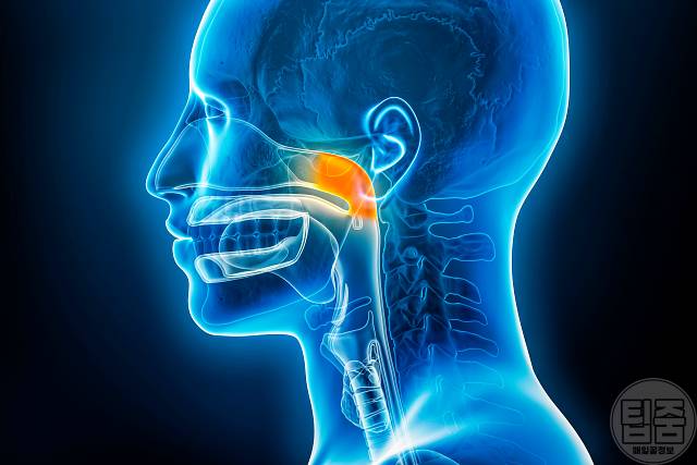 콧물 목 뒤로 넘어가요 후비루 원인