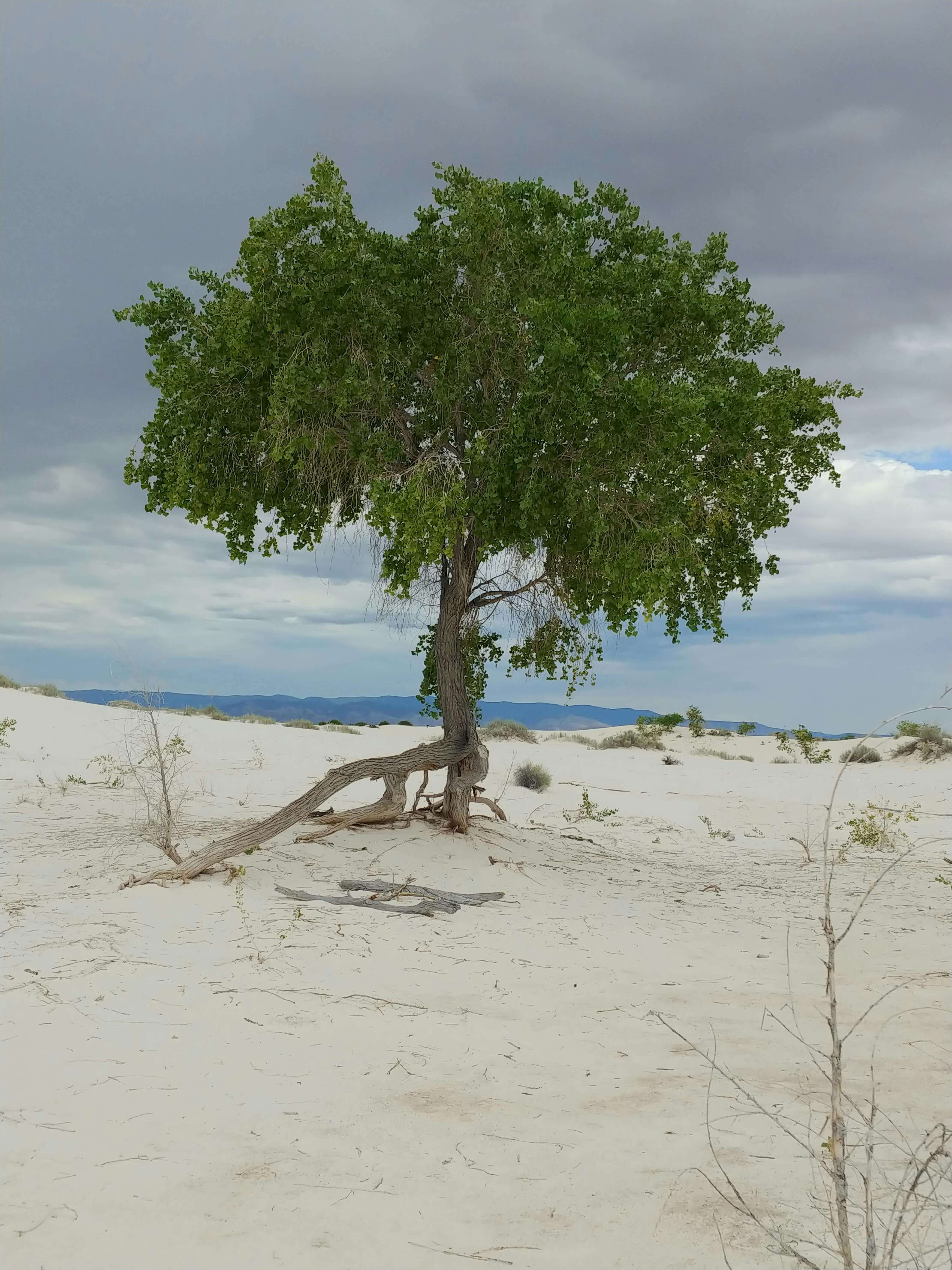 65세 이상 실업급여 본인인증 방법 - 본인인증 종류&amp;#44; 온라인 본인인증 절차&amp;#44; 오프라인 본인인증 절차&amp;#44; 유의사항