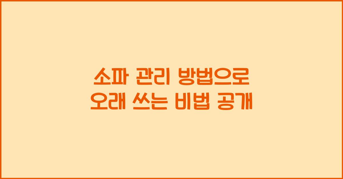 소파 관리 방법