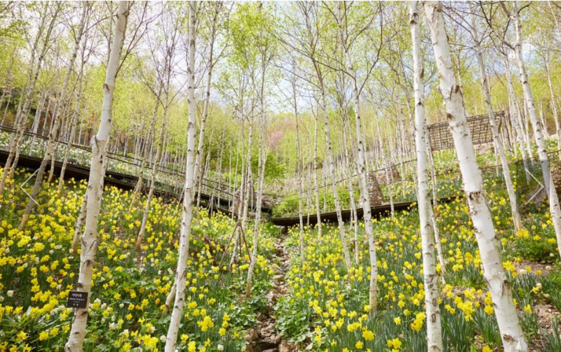 곤지암 화담숲 예약