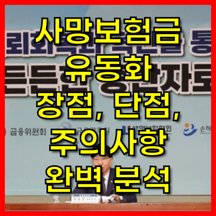 사망보험금 유동화
