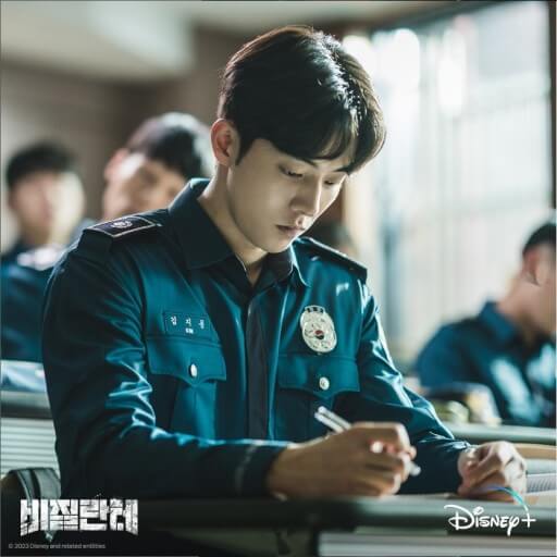 드라마 비질란테 뜻 줄거리 등장인물 웹툰 