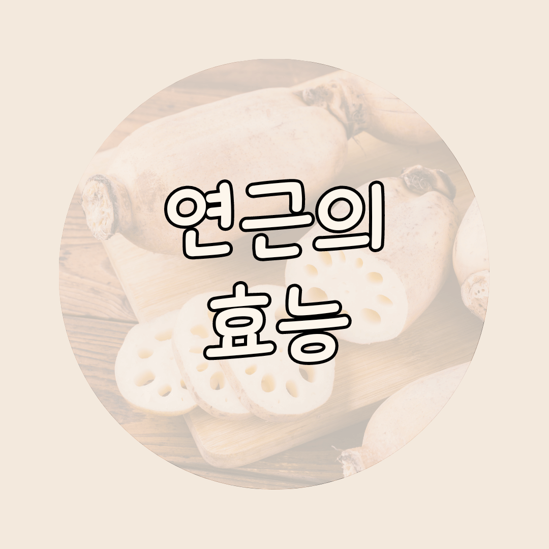 연근
