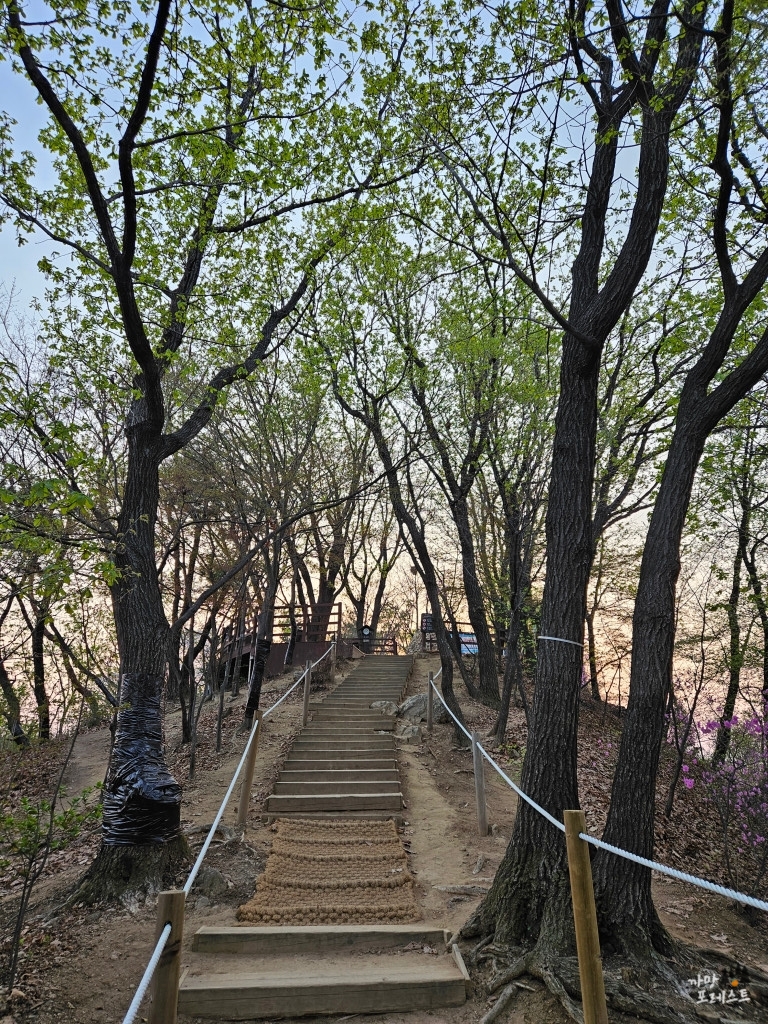 우면산 정상