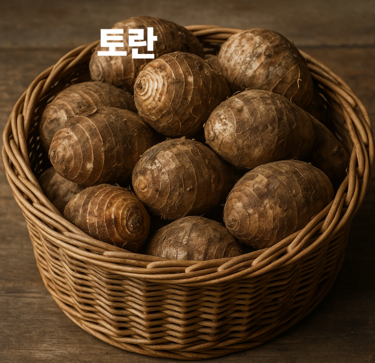 변비예방 당뇨관리 혈압조절 피로회복 다이어트 토란 효능 영양성분