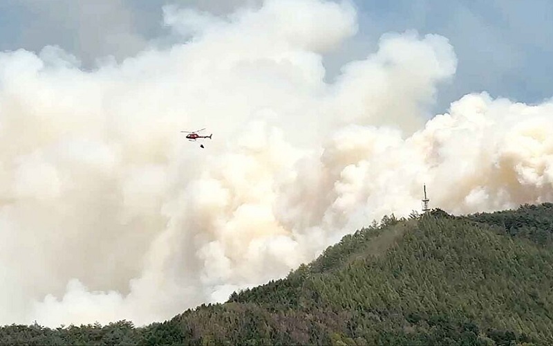 주민 안전 및 교통 통제