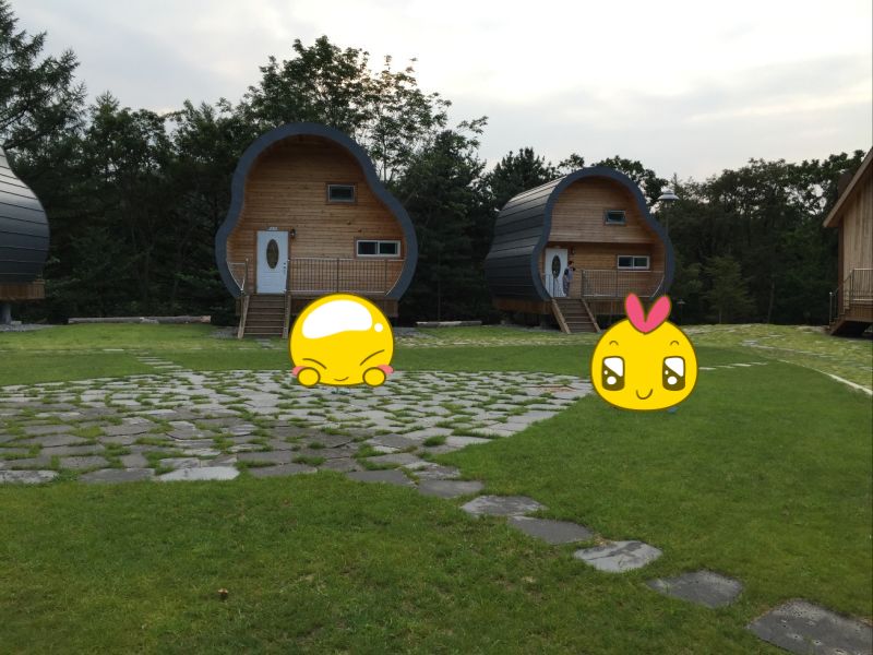 직접 찍은 유명산 트리하우스 앞 잔디밭에서 놀고 있는 아이들의 모습