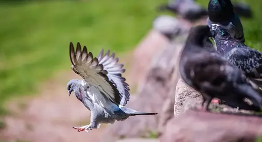 아빠 육아휴직 장려금 신청 방법