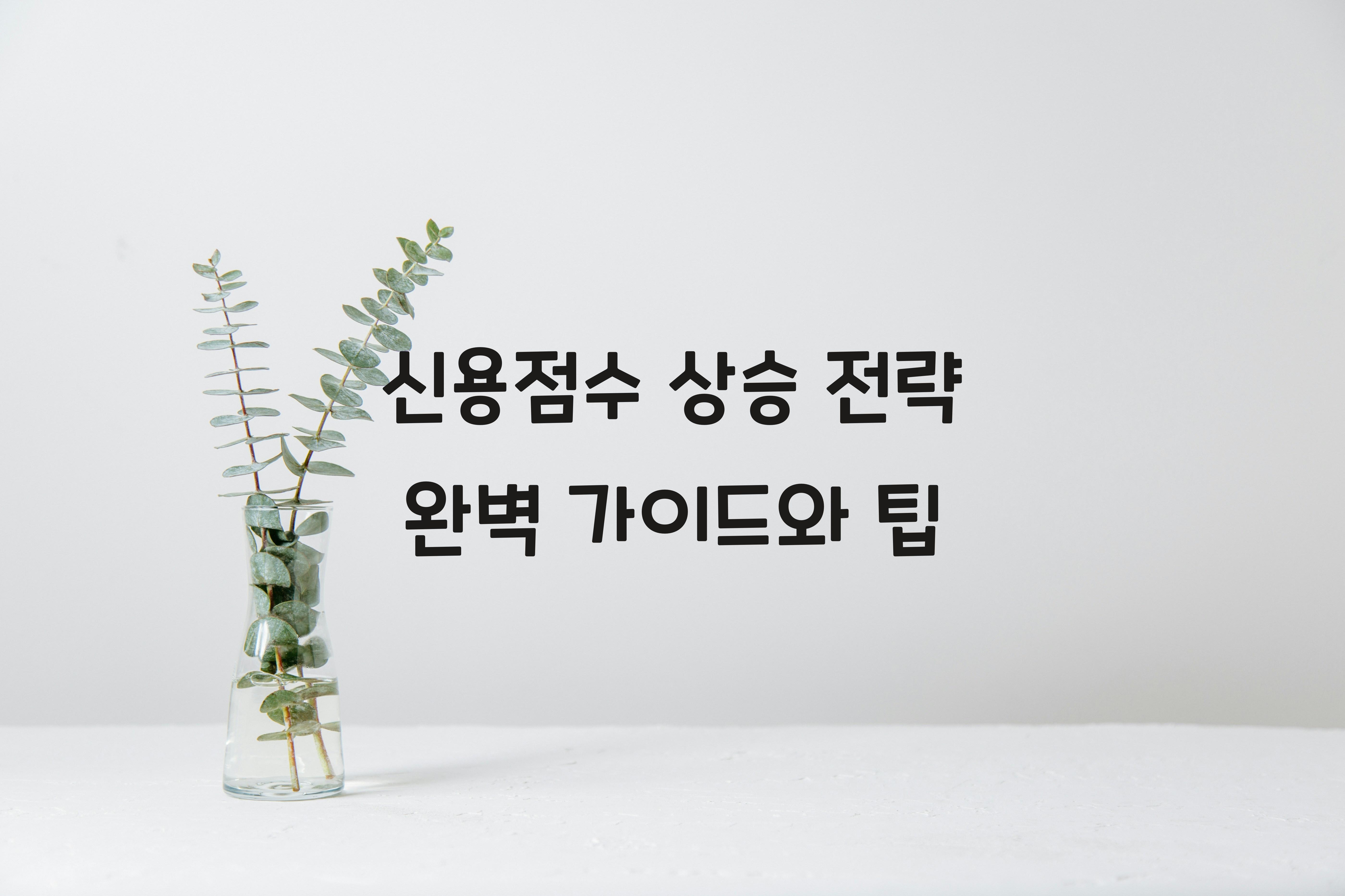 신용점수 상승 전략