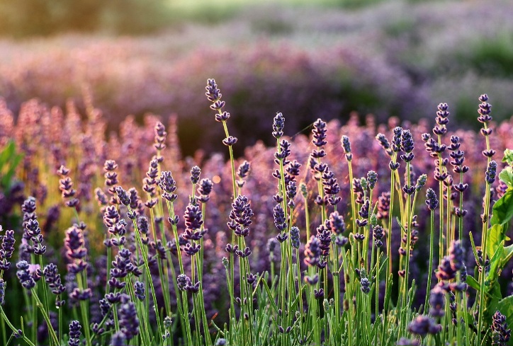 생활 환경균 관점에서 본 환기만으로 위생이 해결되지 않는 이유