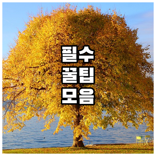 광진구 화양동 대형폐기물 처리, 스티..