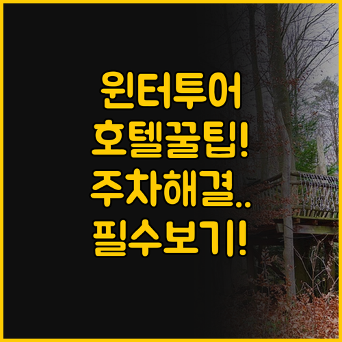 윈터투어 호텔 실전 선택 가이드, 교..