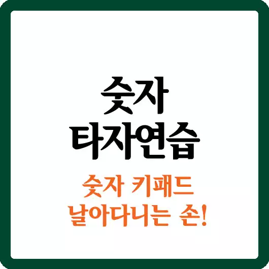 숫자 타자연습