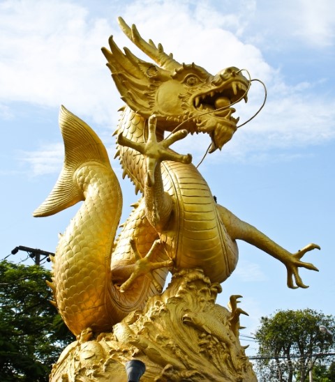 2024년 삼재띠