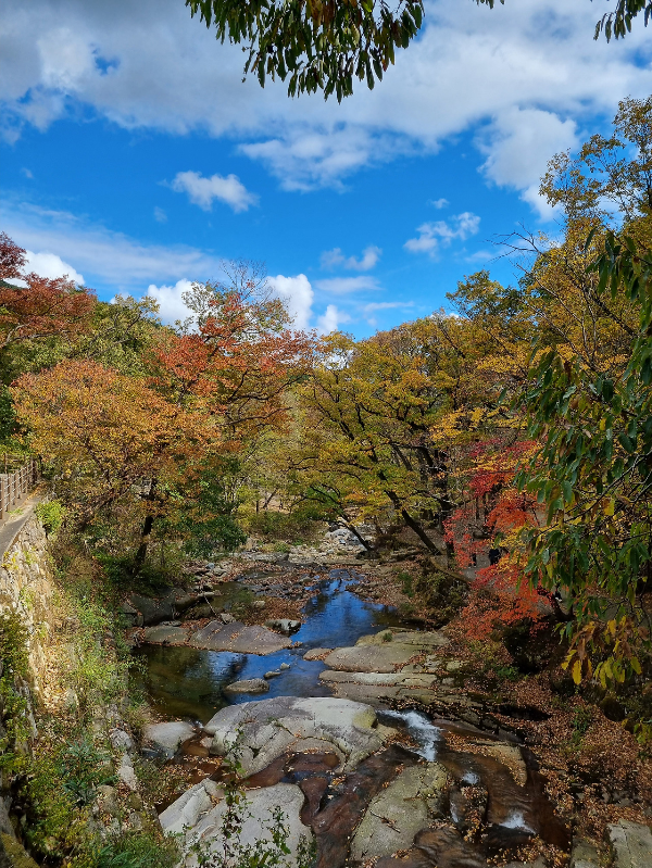 가을 단풍 산