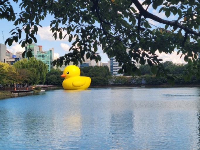 석촌호수 공원 시체