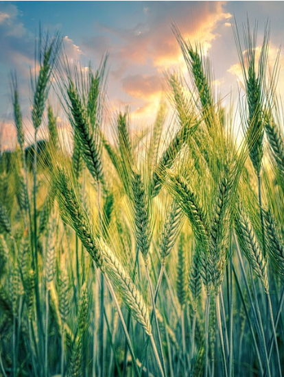 정부지원 대출 종류와 신청 방법 완전정복