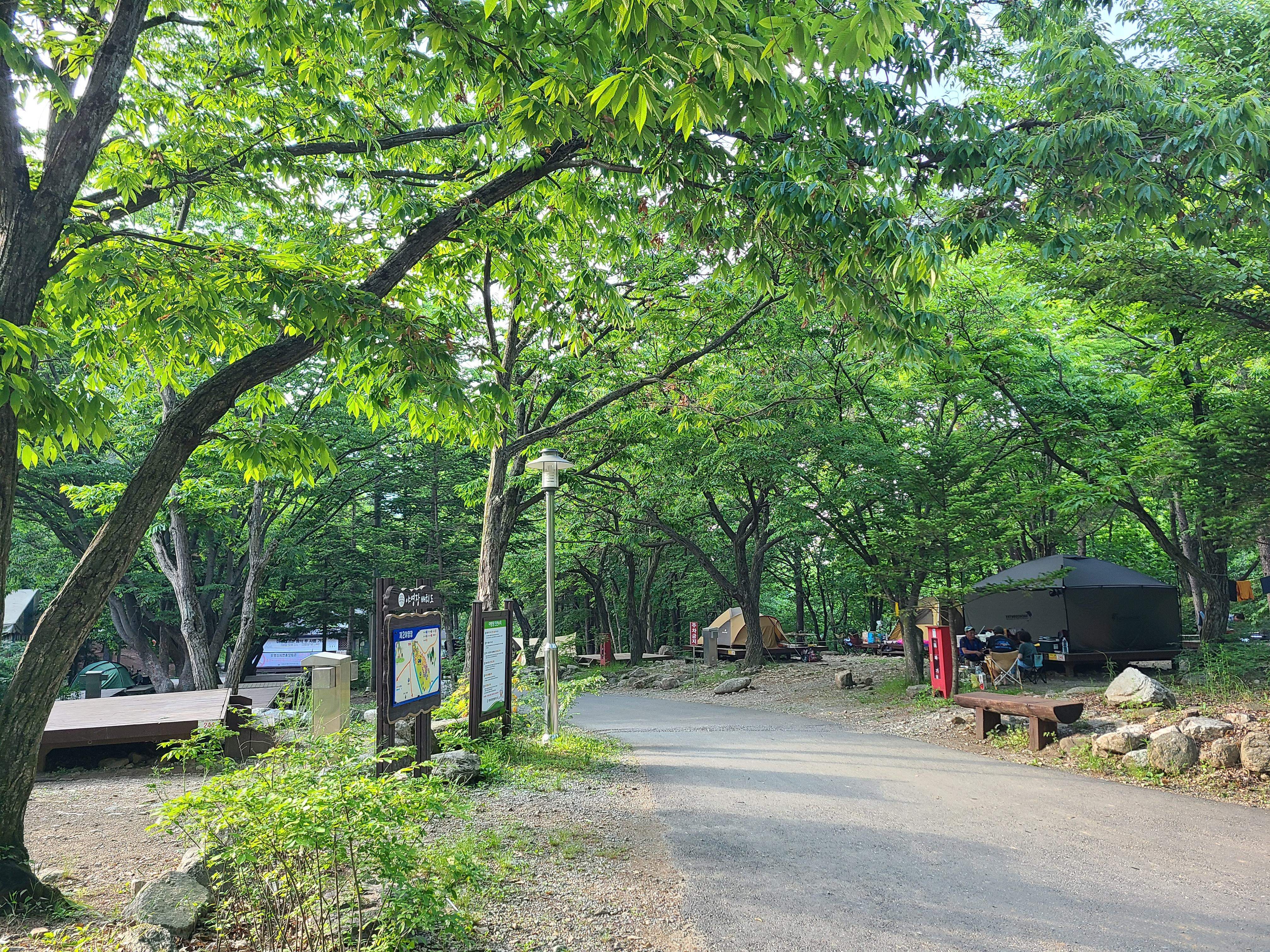 유명산자연휴양림 제2야영장 초입 모습