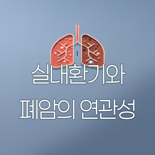 미세먼지가 있어도 환기해야 하는 이유