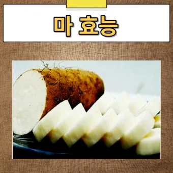 마 효능 보관법 먹는법 마즙 만들기까지 종합 가이드_8