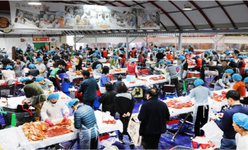 평창-고랭지-김장축제