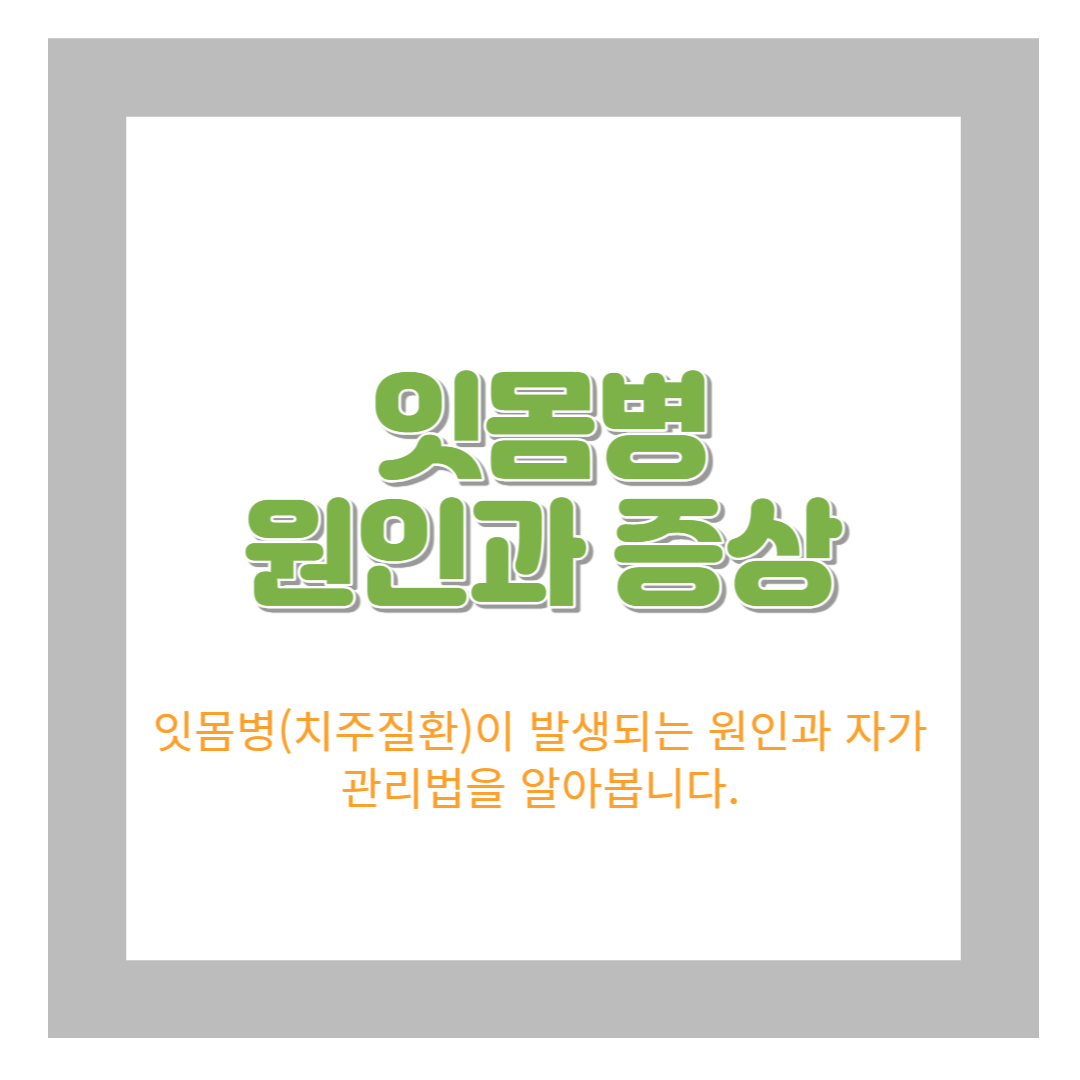 잇몸병 정보