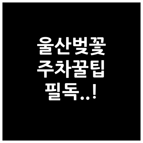 울산 남구 벚꽃 나들이 정보 개화 일..