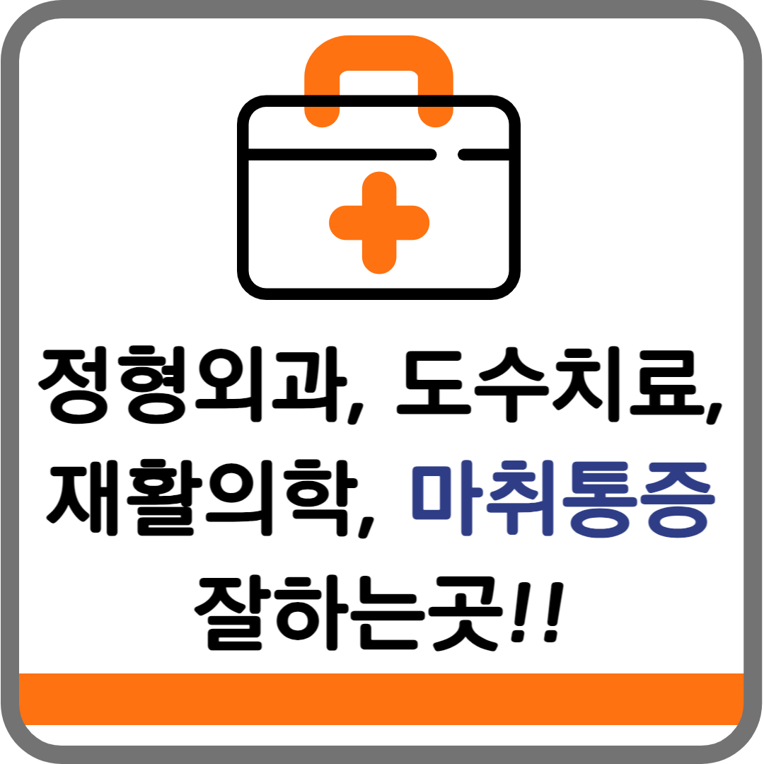 의정부시 허리디스크 통증의학과 재활의학과 정형외과, 비용, 도수치료, 관절, 잘하는 곳 추천