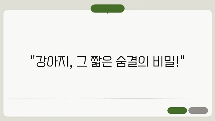 강아지 심장병 증상
