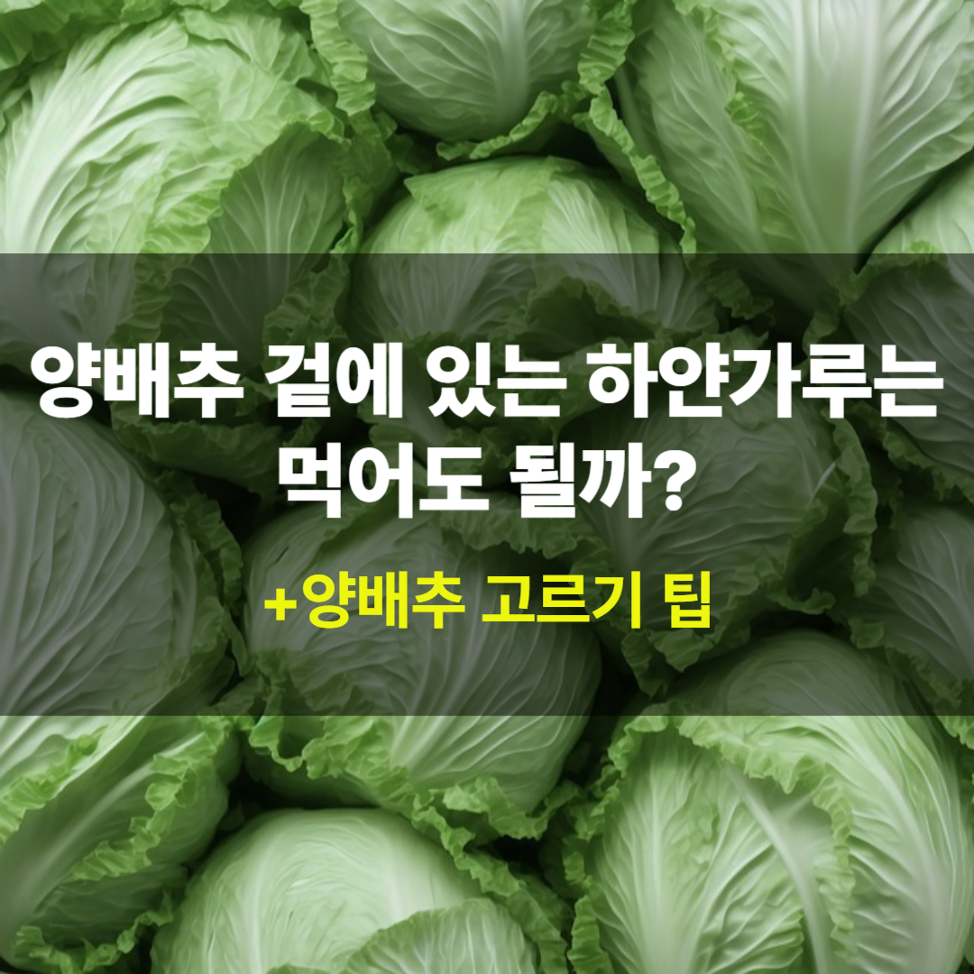양배추 겉에 있는 하얀가루는 먹어도 될까