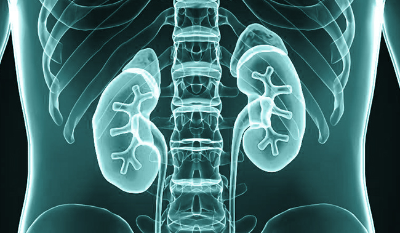 신장이 안좋으면 나타나는 증상