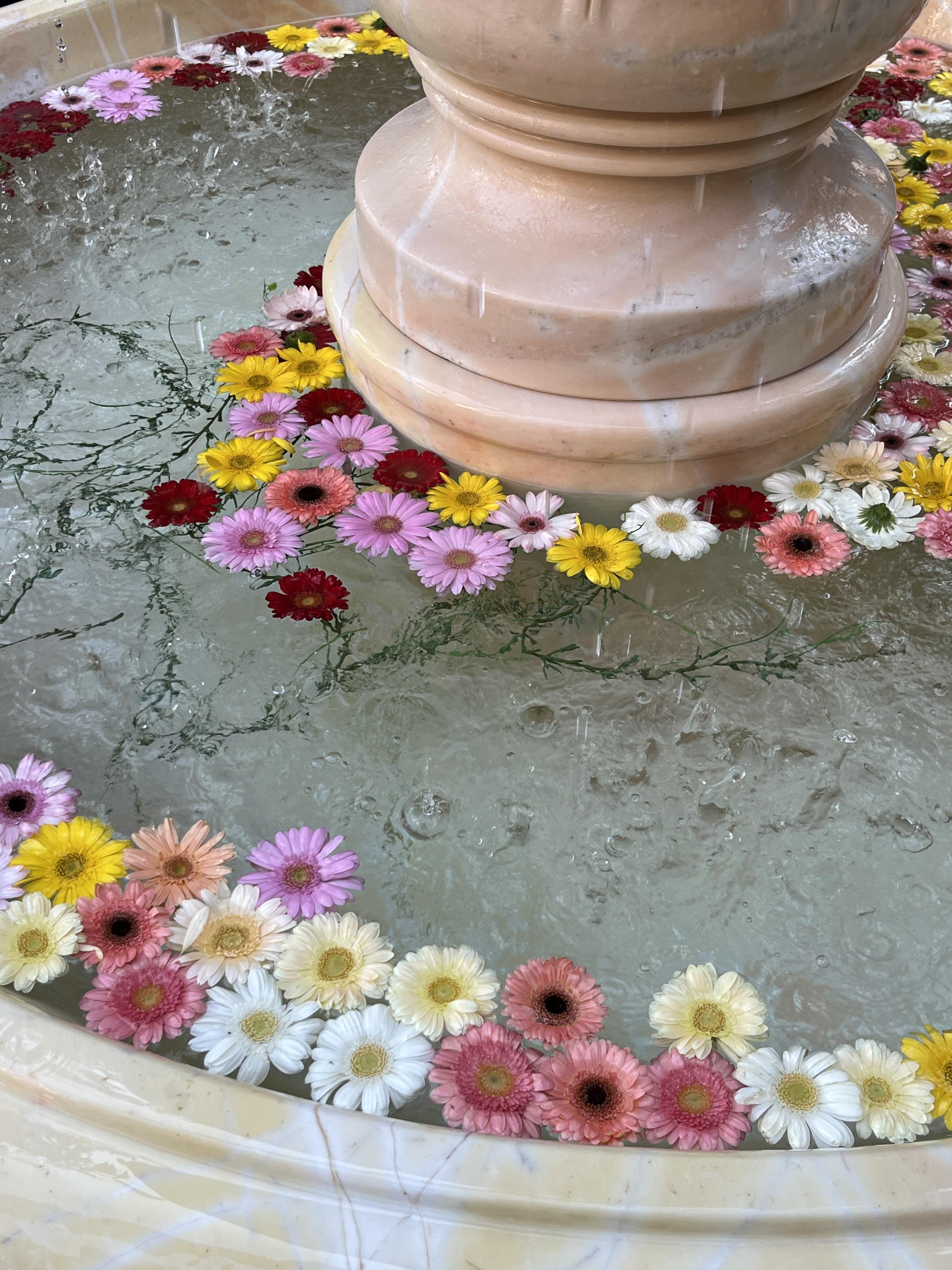 달마시안 압구정점