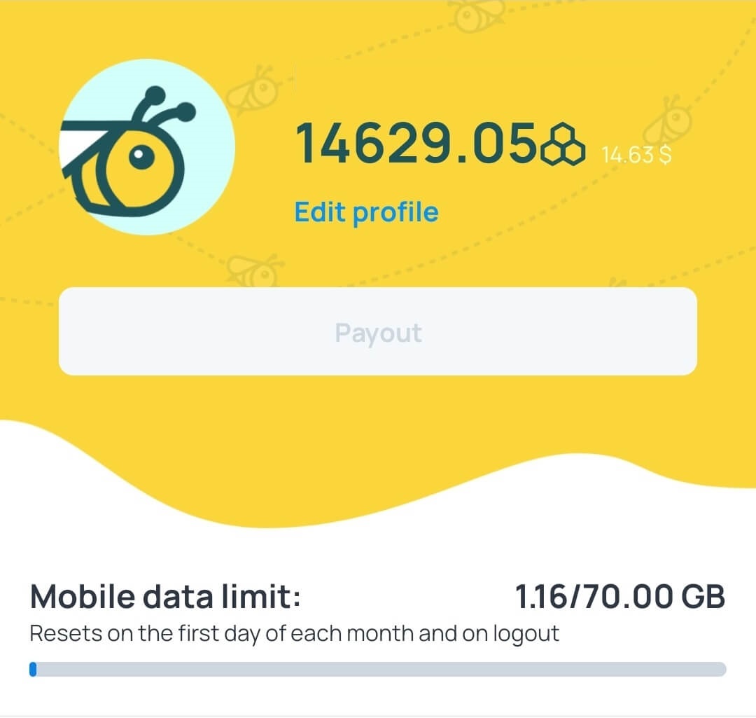 허니게인-나의수익