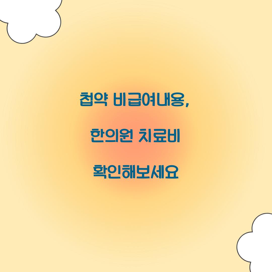 첩약 비급여내용